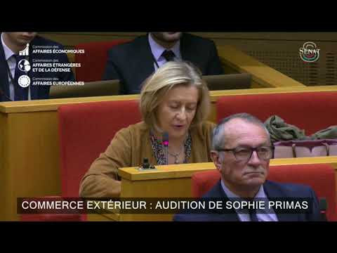 Audition de Sophie Primas, ministre déléguée au commerce extérieur et aux Français de l&#039;étranger