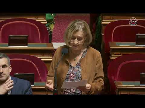 PLFSS 2025 - Corriger l&#039;inégalité fiscale entre les Français de l&#039;étranger assujettis à la CSG-CRDS